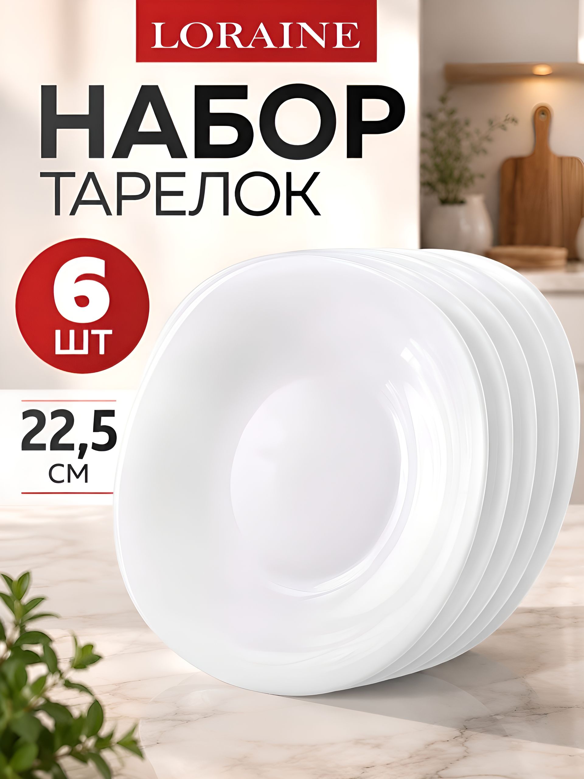 90119-225 Набор тарелок 6пр 25х25х7,5  225мм LR (х6) 